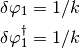 \delta\varphi_1 = 1/k

\delta\varphi^\dagger_1 = 1/k